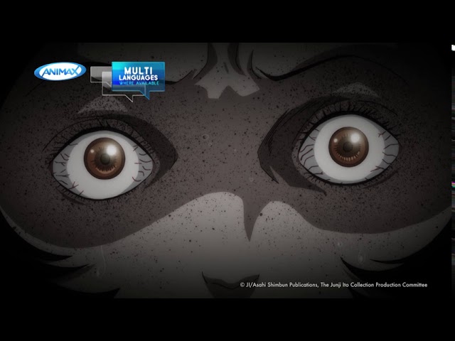 ANIMAX Asia to premiere The Junji Ito Collection anime this August