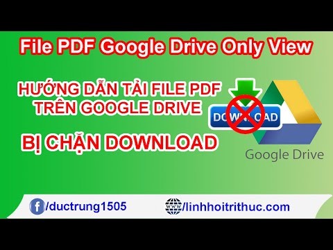 Hướng dẫn tải file trên google drive không cho tải xuống