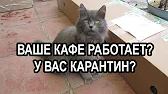 ТV-INFO