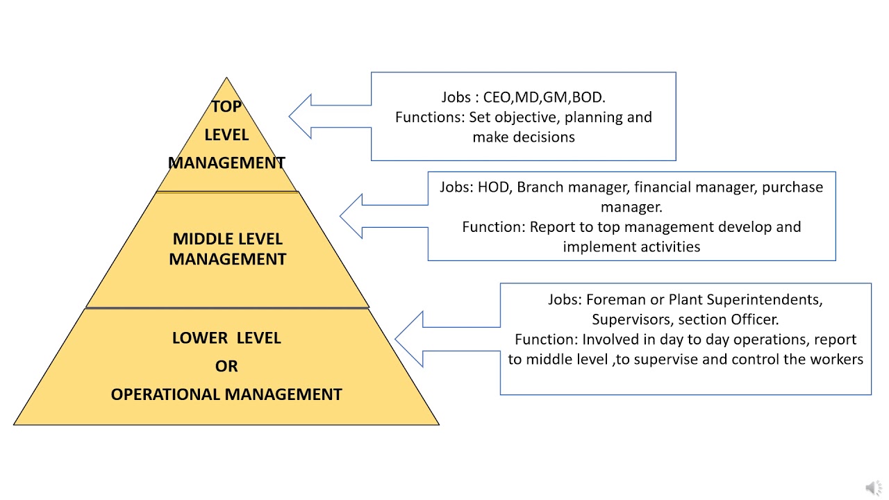 mm obligat rytme levels of management | top level | middle level | lower level  @debitvscredit - YouTube