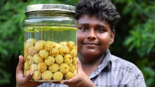 உப்பிலிட்ட நெல்லிக்காய்|Uppilitta Nellikaai Kerala Style|Amla Hunting And Making Salty Amla Recepie