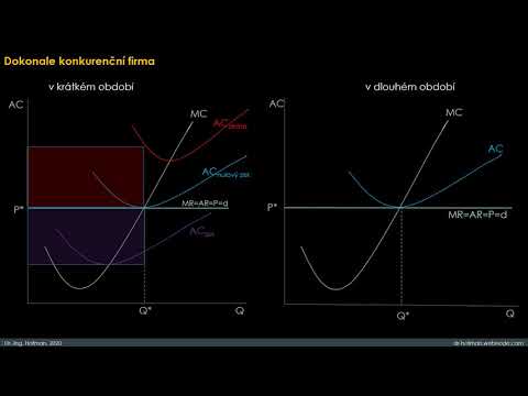 Video: Jsou oligopolní tvůrci cen?