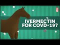 The Research on Ivermectin and Covid