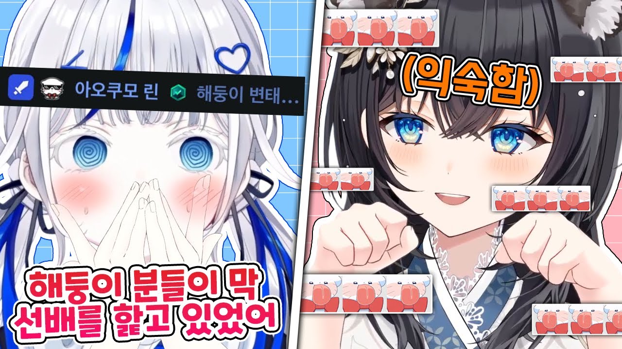 해둥이들이 히나를 마구 핥는걸 목격한 린아가와 익숙한 히나 ㅋㅋㅋㅋㅋ