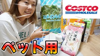 【リピ買い商品あり】多頭飼育女子のコストコ購入品紹介♬ペット用品と日用品も・・