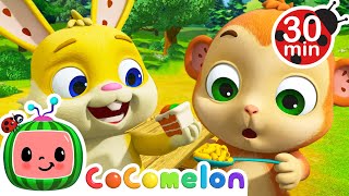 Baby Animal Lunch Song | Animal Time | CoComelon Nursery Rhymes & Kids Songs by Animal Songs with CoComelon 226,912 views 3 months ago 31 minutes