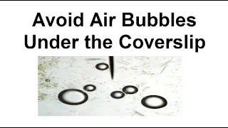 Avoid air bubbles under the cover slip!!!