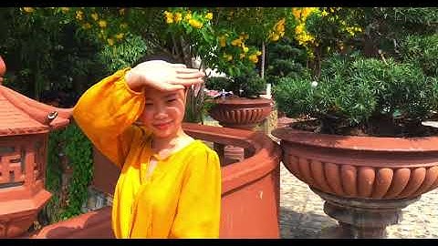 An Giang Quê Tôi | Rap |Cánh Đồng Thốt Nốt ở An Giang