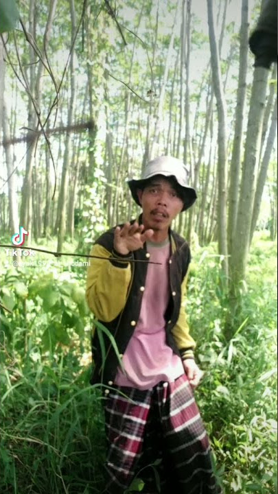tiktok juragan tani