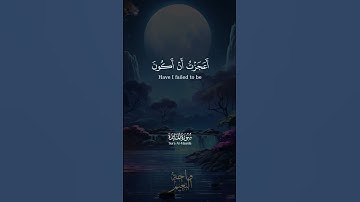 فَبَعَثَ اللَّهُ غُرَابًا يَبْحَثُ فِي الْأَرْضِ... سورة المائدة للشيخ محمد صديق المنشاوي