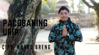 PACOBANING URIP - Cipt NDARU BRENG | COVER BY SIHO LIVE ACOUSTIC