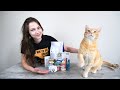 Fancy Feast Cat Food Review