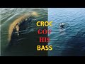 CROCODILE GRABS THIS GUYS BIGGEST BASS / SOUTH AFRICA #shorts