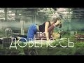 Troi - Довелось