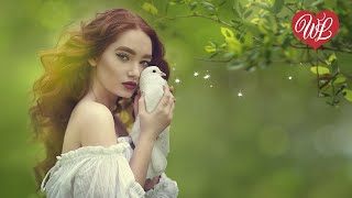 ГОЛУБИ ♥ РУССКАЯ МУЗЫКА WLV ♥ NEW SONGS and RUSSIAN MUSIC HITS ♥ RUSSISCHE MUSIK HITS