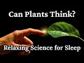 Can Plants Think? Relaxing Sleep Science πΏ