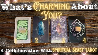 What Makes You So Charming?  Collaboration W/ @spiritualbeasttarot  | Timeless Tarot