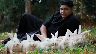 Rabbit Tawa Fry | 8 Rabbit Pollichathu | Rabbit Farm |