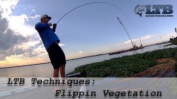 How to Flip Vegetation: Lucky Tackle Box Tips