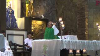 10182015 29th sunday pm mass 3