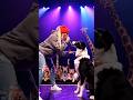 Rap with Dog 🐶🎤 | Witness of Wild Animals in the Jungle | Wild Nature Vibes🌿