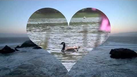 Classical Conversations Latin John 1 Music Video