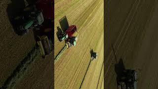 Big Silage Operation... How many machines can you spot ?