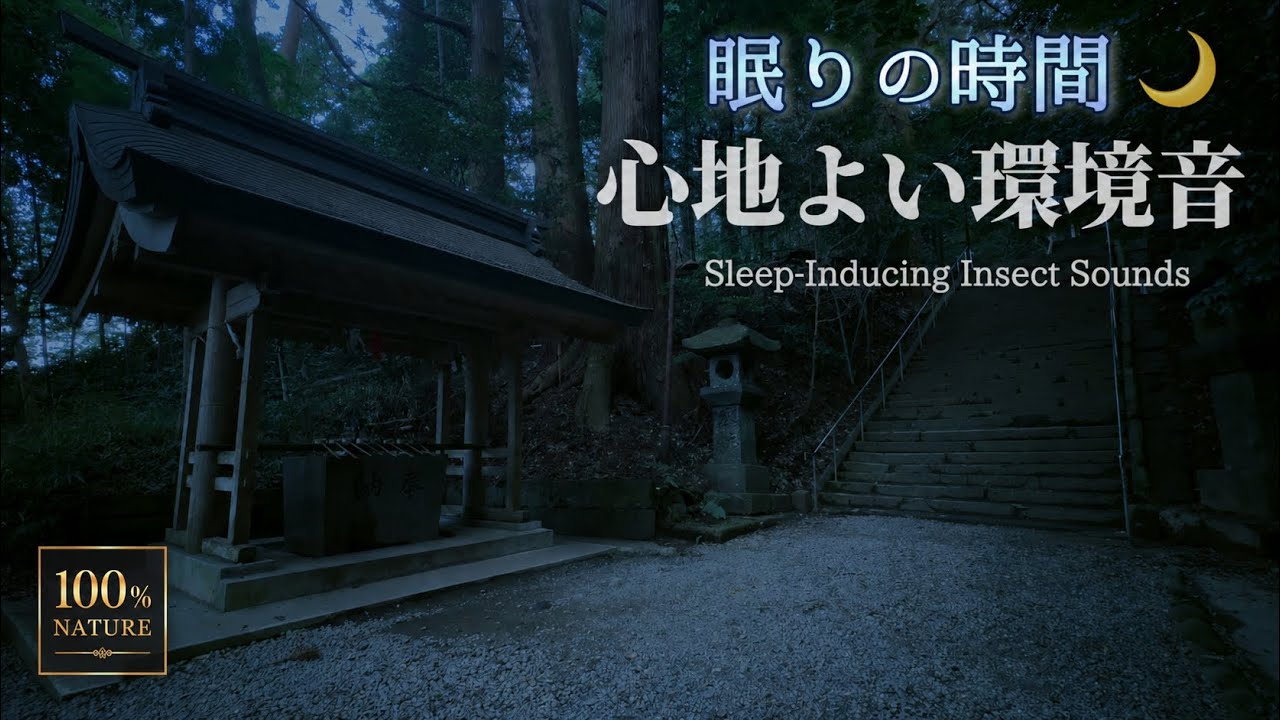 Japanese Insect Sound Nature ASMR: Relaxing Japanese Shrine Insect Sounds for Sleep 🌙 - YouTube