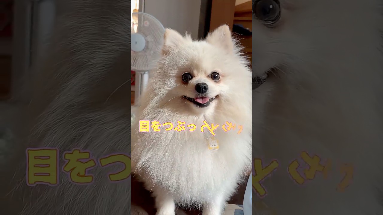 目をつぶって下さい