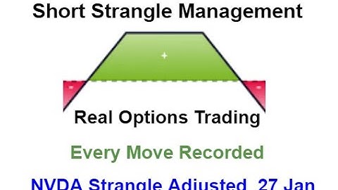 NVDA 30 Dec Nvidia Corp Short Strangle Adjusted