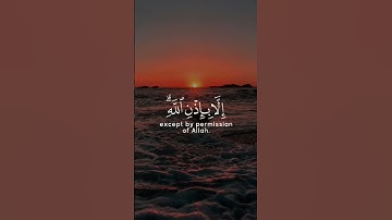 القرآن الكريم   "سورة التغابن  الآية (11)"  القارئ#رعد_الكردي