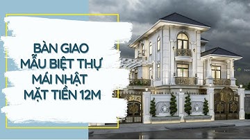 Bàn giao mẫu biệt thự mái Nhật mặt tiền 12m | Thiết kế & thi công trọn gói