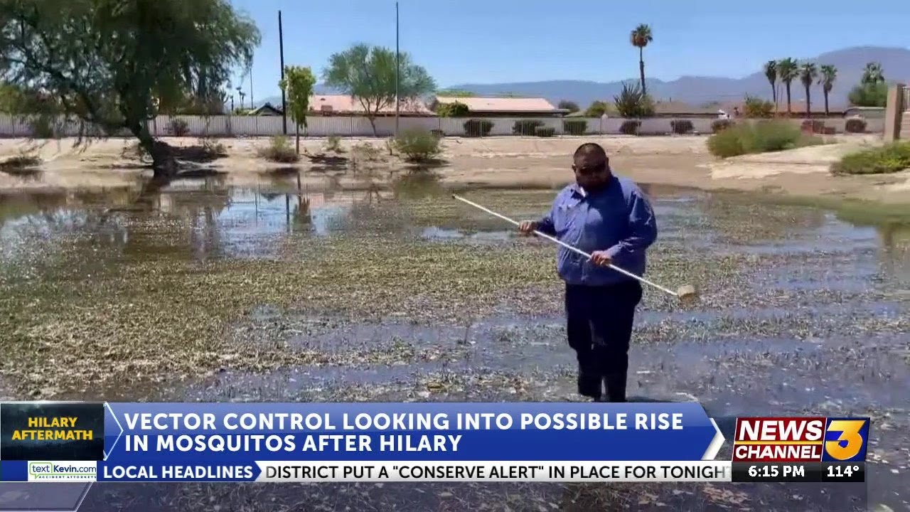 Coachella Valley Mosquito & Vector Control District assess flood water left over from Hilary