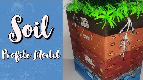 Science Project | Soil Profile Model | Science Model For School Going Kids | DIY