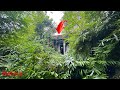 SCARY HAUNTED house TERRIFYING vegetation needs cleaning TRANSFORMATION mowing BRICK YARD garden
