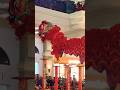 atraksi barongsai lion dance barongsai lion dance barongsai!!