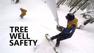 Tree Riding + Tree Well Safety