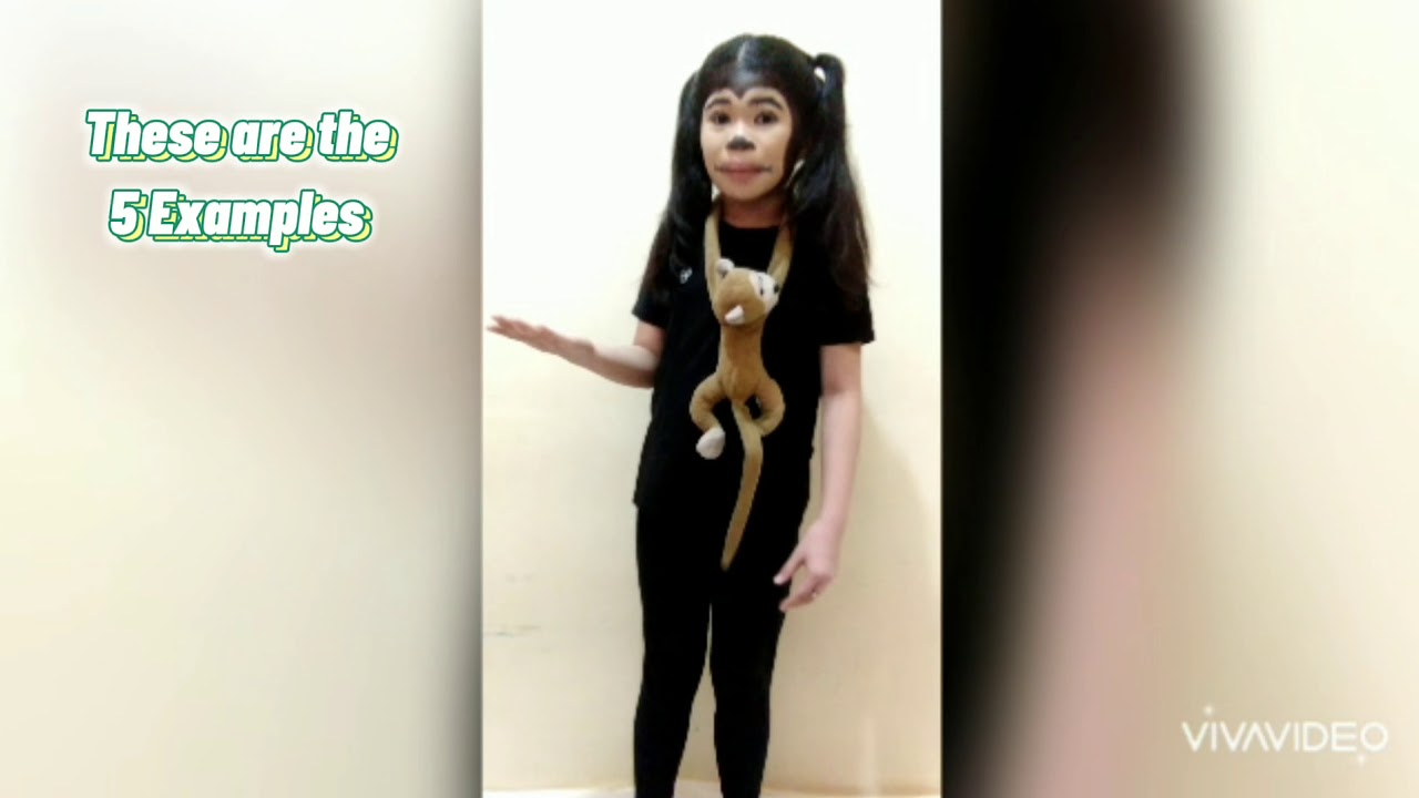 Trivia about Monkey - YouTube