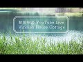 新居昭乃 YouTube Live Viridian House Cottage #10