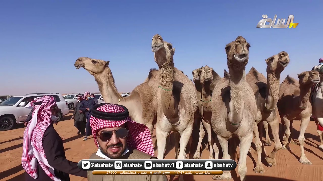 مسيرة /  ناصر بن غنيم بن شويه   ( الطايلات )