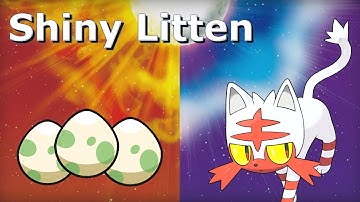 Shiny Litten via Masuda Method in Pokemon Sun & Moon!