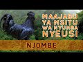 MSITU WA NYUMBANITU MSITU WENYE MAAJABU MENGI NA KUTISHA NJOMBE FULL HISTORIA MSITU WA NYUMBANITU MSITU WENYE MAAJABU MENGI NA KUTISHA NJOMBE FULL HISTORIA