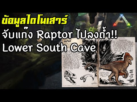 จับแก๊ง Raptor ไปลงถ้ำ Lower South Cave ⛰ [ARK: Survival Evolved ไทย/TH] ข้อมูลไดโนเสาร์