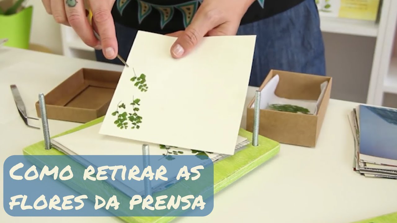 Como retirar as flores da prensa
