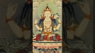The Bodhisattva's Enlightened Mind