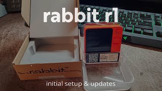 Rabbit R1 Pocket AI Assistant // Unboxing & Updates