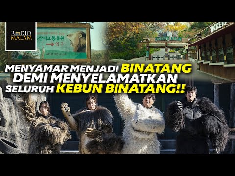 Video: Potret Kebun Binatang Menampilkan Hewan dalam Pakaian