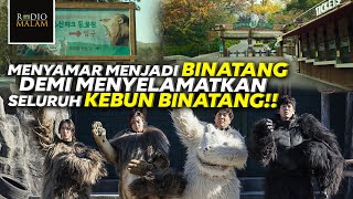 JADI BINATANG PALSU DEMI MENYELAMATKAN KEBUN BINATANG - Alur Film Secret Zoo (2020)