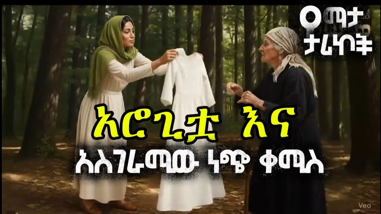 አሮጊቷ እና አስገራሚው ነጭ ቀሚስ /The old woman and the amazing white dress/ የማታ ታሪኮች night story 😴