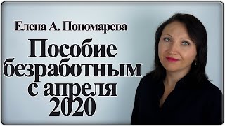 :      2020 -  . 